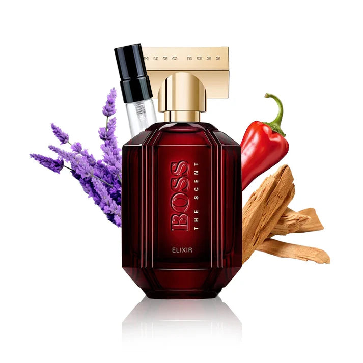 Boss The Scent Elixir